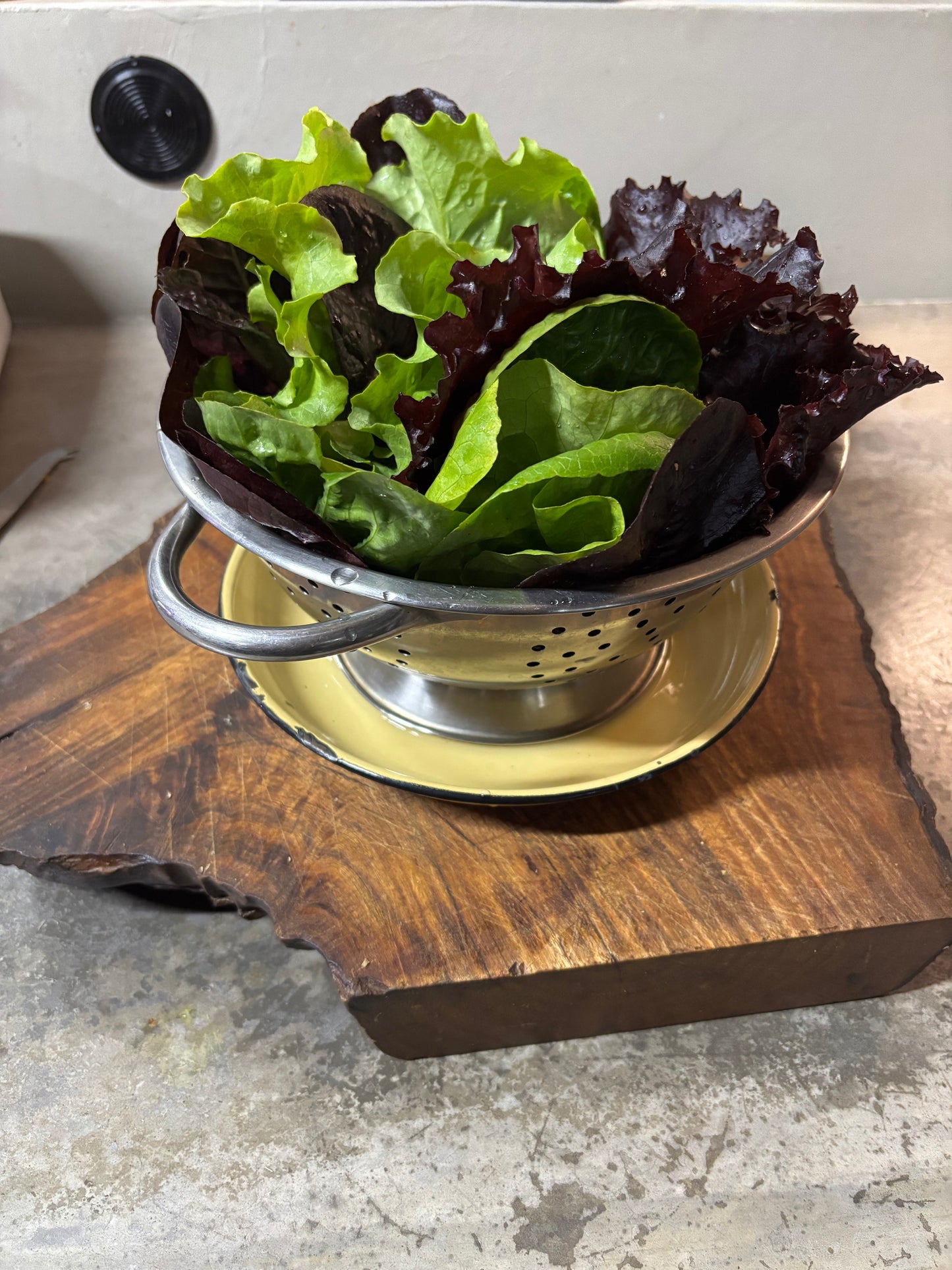 Specialty Boutique Greens (Fresh Harvest)